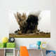 Explosion Wall Decal Design 2