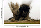 Explosion Wall Decal Design 2