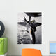 Kc-135 Stratotanker Refuels F-22 Wall Decal
