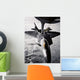 Kc-135 Stratotanker Refuels F-22 Wall Decal