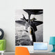Kc-135 Stratotanker Refuels F-22 Wall Decal