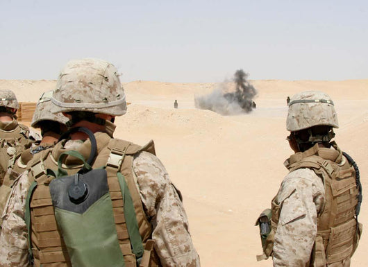 Marines and Sailors Look Wall Decal