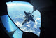 F-22 Raptor Refuels behind Wall Decal