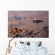 Two F-15 Aggressor Eagles Wall Decal