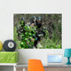 Soldiers Walking through Brush Wall Decal