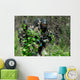 Soldiers Walking through Brush Wall Decal