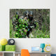 Soldiers Walking through Brush Wall Decal