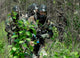 Soldiers Walking through Brush Wall Decal
