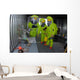 Specialists Survey Simulated Area Wall Decal