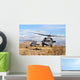 Two Hh-60 Pavehawk Helicopters Wall Decal