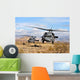 Two Hh-60 Pavehawk Helicopters Wall Decal