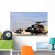Two Iraqi Mi-17 Hip Wall Decal