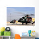 Two Iraqi Mi-17 Hip Wall Decal