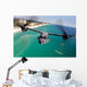 Cv-22 Osprey Aircraft Flies Wall Decal