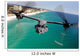 Cv-22 Osprey Aircraft Flies Wall Decal
