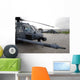 Two Hh-60g Pave Hawks Wall Decal