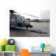 Two Hh-60g Pave Hawks Wall Decal