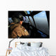 Us Air Force C-130j Wall Decal