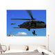 Us Air Force Pararescuemen Wall Decal Design 4