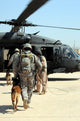 Military Working Dog Handlers Wall Decal