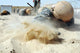Army Soldier Pulls Himself Wall Decal