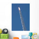 Vandenberg Successfully Launched Delta Wall Decal