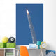Vandenberg Successfully Launched Delta Wall Decal