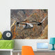 Cv-22 Osprey Flies over Wall Decal Design 3