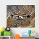 Cv-22 Osprey Flies over Wall Decal Design 3