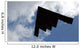 B-2 Spirit Flight Wall Decal