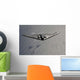 B-2 Spirit Flies over Wall Decal