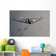 B-2 Spirit Flies over Wall Decal
