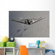 B-2 Spirit Flies over Wall Decal