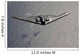 B-2 Spirit Flies over Wall Decal