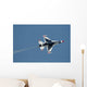 Us Air Force Thunderbirds Wall Decal