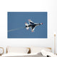 Us Air Force Thunderbirds Wall Decal