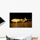 C-17 Globemaster Iii Wall Decal Design 6