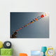 Flags Fly over Deck Wall Decal