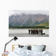 Group Navy Seal's Prepares Wall Decal