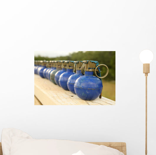 Row M-67 Training Grenades Wall Decal