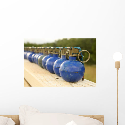 Row M-67 Training Grenades Wall Decal