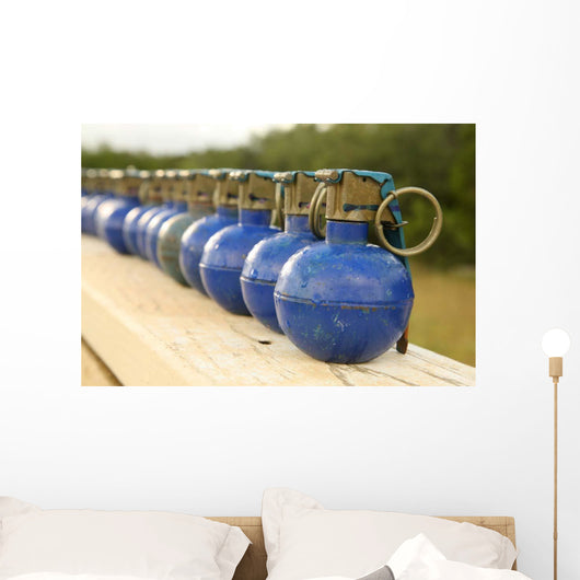 Row M-67 Training Grenades Wall Decal