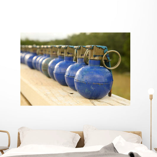 Row M-67 Training Grenades Wall Decal