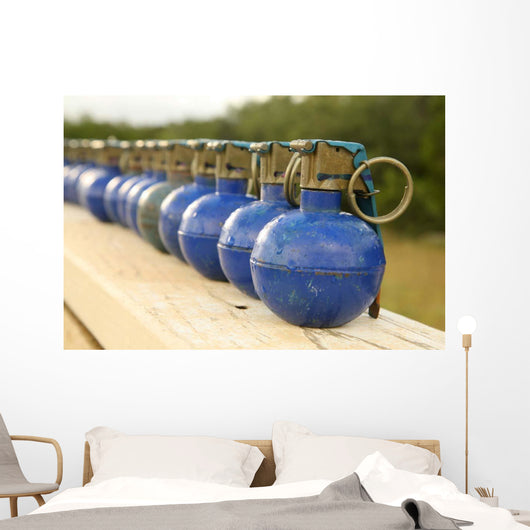 Row M-67 Training Grenades Wall Decal