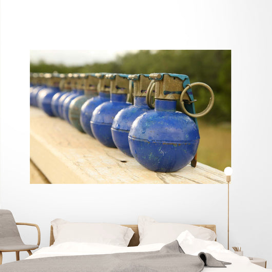 Row M-67 Training Grenades Wall Decal