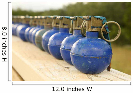 Row M-67 Training Grenades Wall Decal