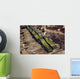 Scattered Artillery Assigned to Wall Decal