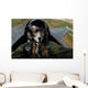 Us Air Force Pilot Wall Decal Design 1