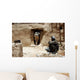 Soldier from National Guard Wall Decal