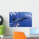 Air Force F-15e Strike Wall Decal